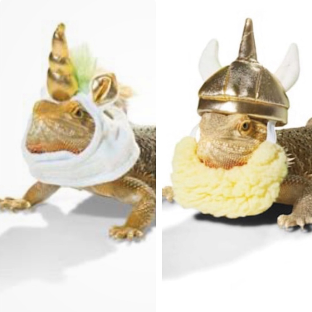 NWT lizard Viking & Unicorn Halloween dragon costume